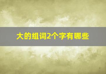 大的组词2个字有哪些