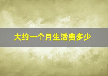 大约一个月生活费多少