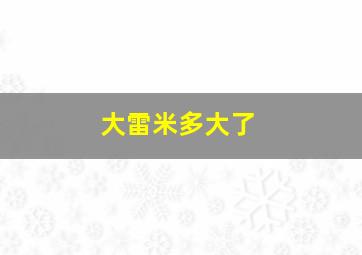 大雷米多大了