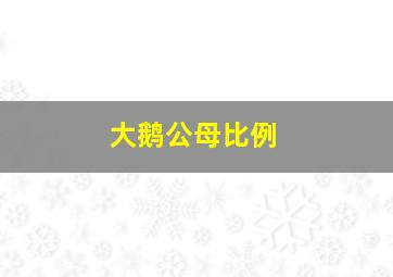 大鹅公母比例