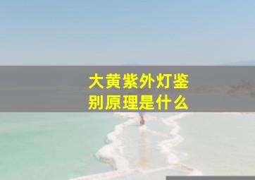 大黄紫外灯鉴别原理是什么