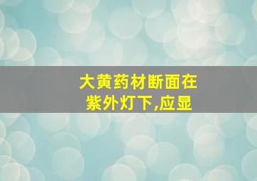 大黄药材断面在紫外灯下,应显