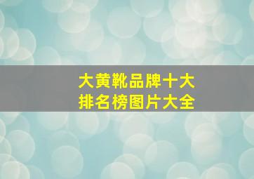 大黄靴品牌十大排名榜图片大全