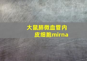 大鼠肺微血管内皮细胞mirna