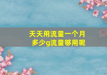 天天用流量一个月多少g流量够用呢