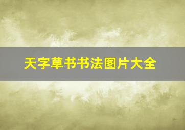 天字草书书法图片大全