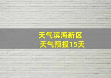 天气滨海新区天气预报15天