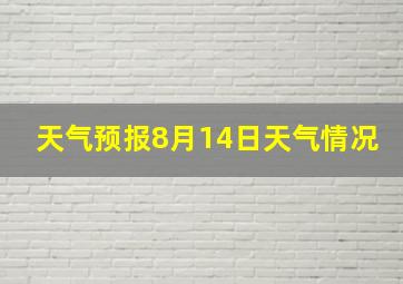 天气预报8月14日天气情况