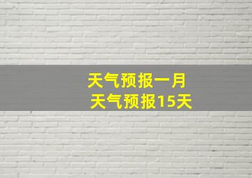 天气预报一月天气预报15天