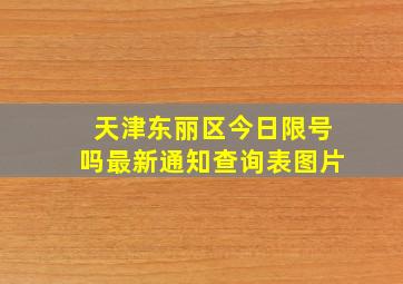 天津东丽区今日限号吗最新通知查询表图片