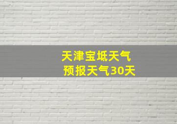 天津宝坻天气预报天气30天