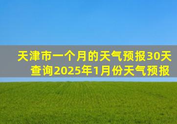 天津市一个月的天气预报30天查询2025年1月份天气预报