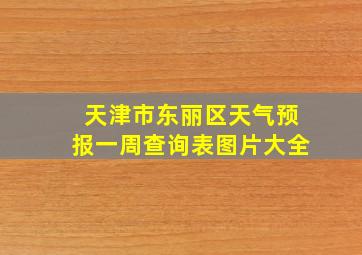 天津市东丽区天气预报一周查询表图片大全