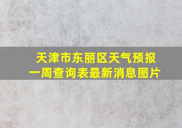 天津市东丽区天气预报一周查询表最新消息图片