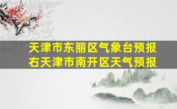 天津市东丽区气象台预报右天津市南开区天气预报