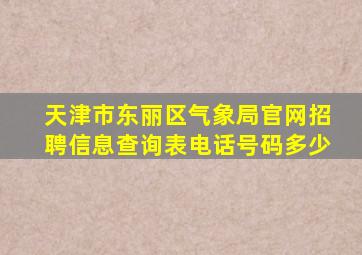 天津市东丽区气象局官网招聘信息查询表电话号码多少