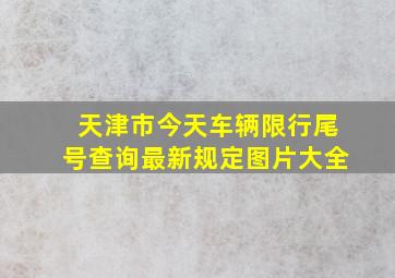 天津市今天车辆限行尾号查询最新规定图片大全