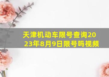 天津机动车限号查询2023年8月9日限号吗视频