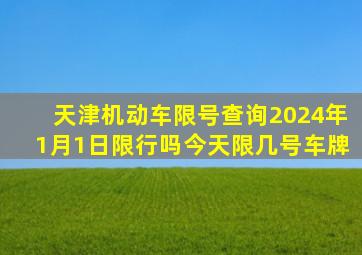 天津机动车限号查询2024年1月1日限行吗今天限几号车牌