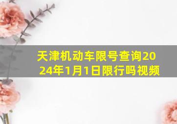 天津机动车限号查询2024年1月1日限行吗视频