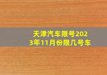 天津汽车限号2023年11月份限几号车