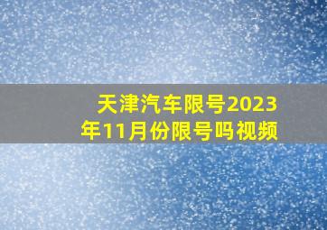 天津汽车限号2023年11月份限号吗视频