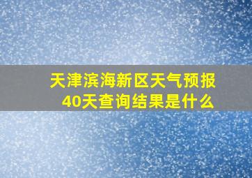 天津滨海新区天气预报40天查询结果是什么