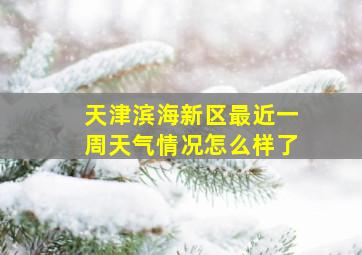 天津滨海新区最近一周天气情况怎么样了