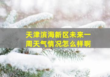 天津滨海新区未来一周天气情况怎么样啊