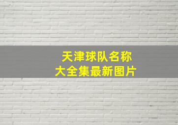 天津球队名称大全集最新图片