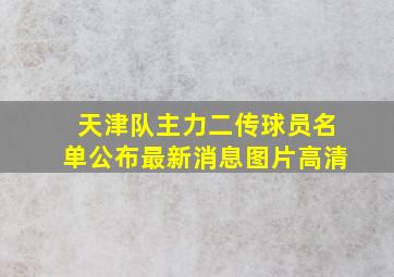 天津队主力二传球员名单公布最新消息图片高清