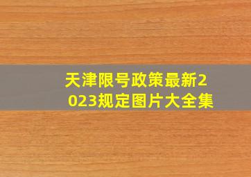 天津限号政策最新2023规定图片大全集