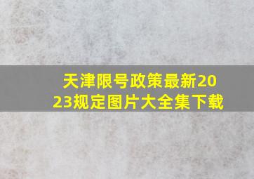 天津限号政策最新2023规定图片大全集下载