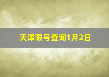 天津限号查询1月2日