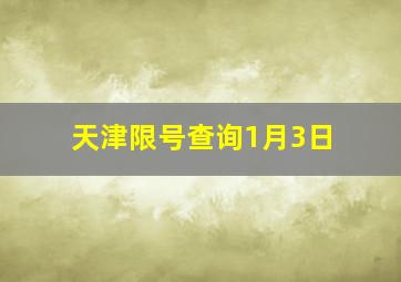 天津限号查询1月3日