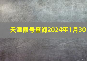 天津限号查询2024年1月30