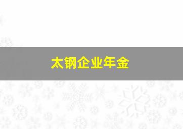 太钢企业年金