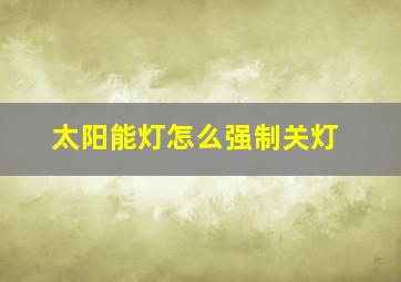 太阳能灯怎么强制关灯