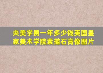 央美学费一年多少钱英国皇家美术学院素描石膏像图片