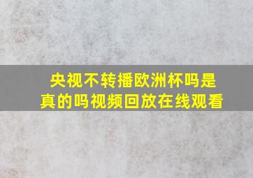 央视不转播欧洲杯吗是真的吗视频回放在线观看