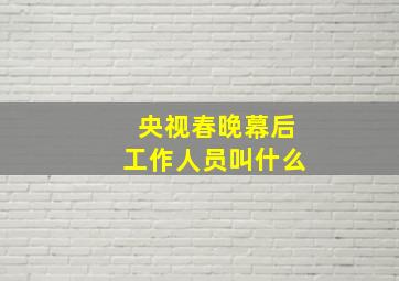 央视春晚幕后工作人员叫什么