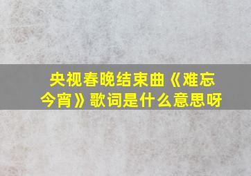 央视春晚结束曲《难忘今宵》歌词是什么意思呀