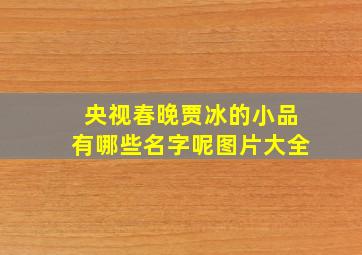 央视春晚贾冰的小品有哪些名字呢图片大全