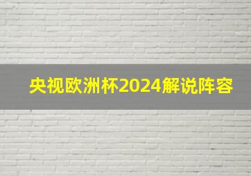 央视欧洲杯2024解说阵容