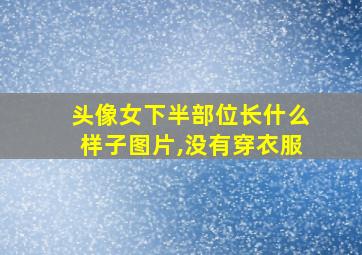 头像女下半部位长什么样子图片,没有穿衣服