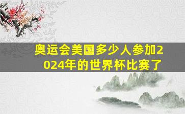 奥运会美国多少人参加2024年的世界杯比赛了