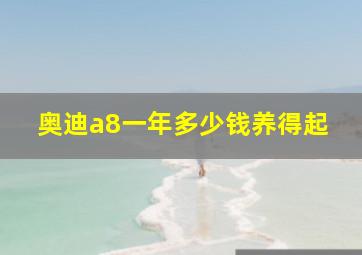 奥迪a8一年多少钱养得起