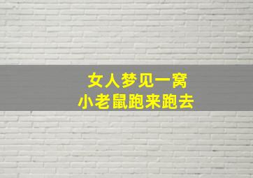 女人梦见一窝小老鼠跑来跑去