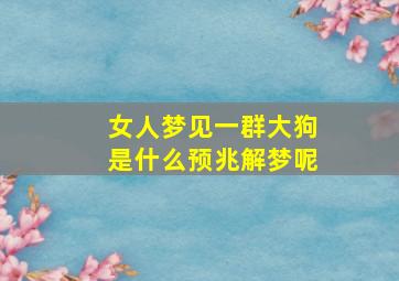 女人梦见一群大狗是什么预兆解梦呢