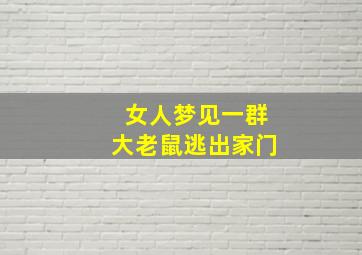 女人梦见一群大老鼠逃出家门